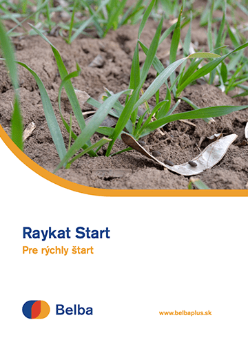Raykat Start pre rýchly štart