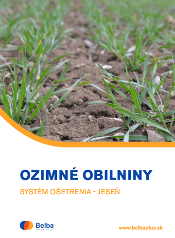 OZIMNÉ OBILNINY