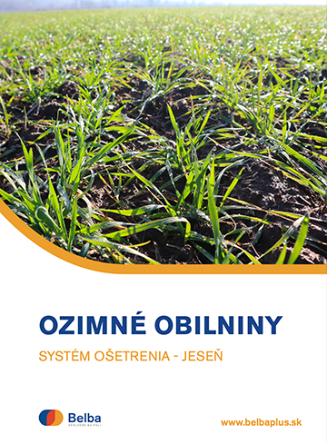 Ozimné obilniny