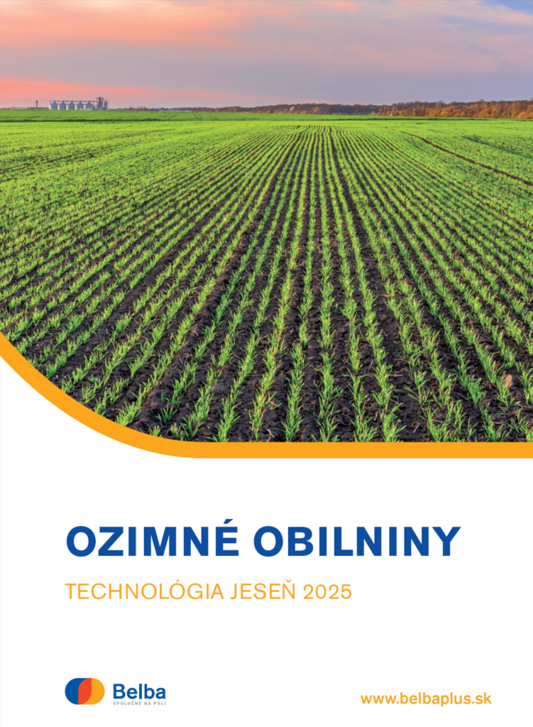 OZIMNÉ OBILNINY technológia jeseň 2025
