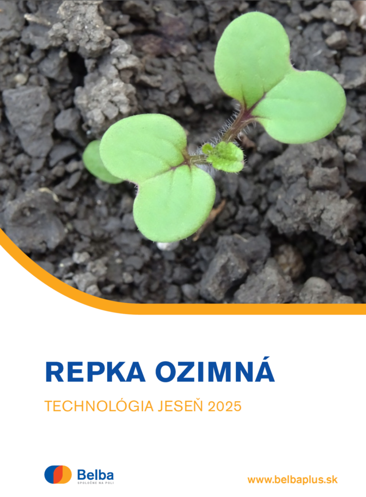 REPKA OZIMNÁ technológia jeseň 2025